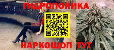 гидра Лесосибирск