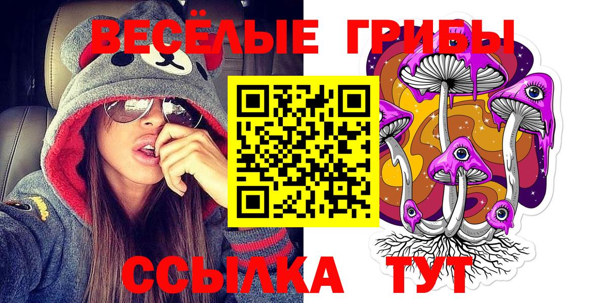 Псилоцибиновые грибы мицелий Ивантеевка